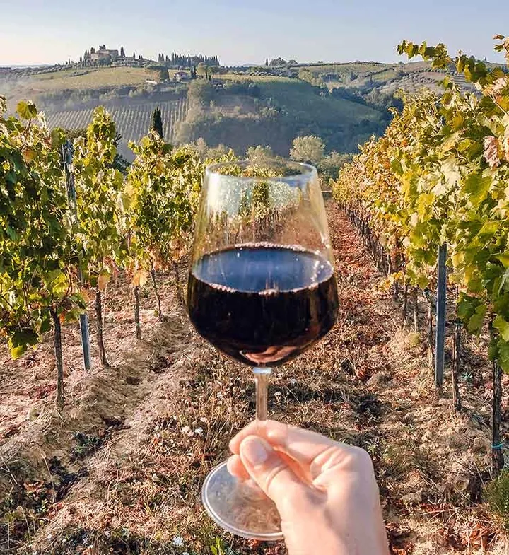 Copa de vino tinto en medio de un viñedo